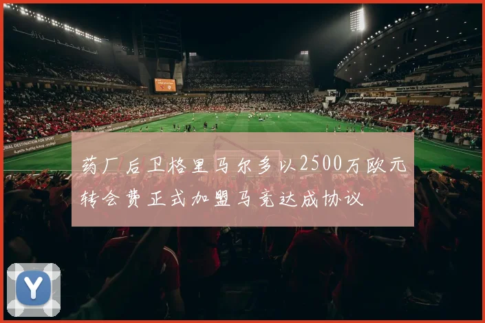 药厂后卫格里马尔多以2500万欧元转会费正式加盟马竞达成协议
